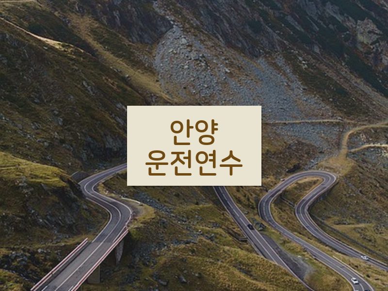 안양운전연수 후기