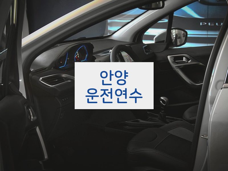 안양운전연수 후기