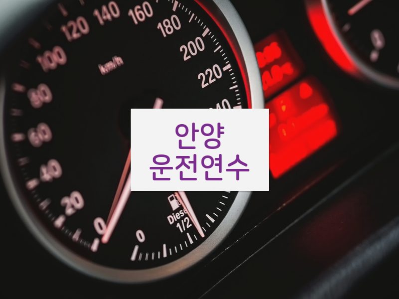 안양운전연수 후기