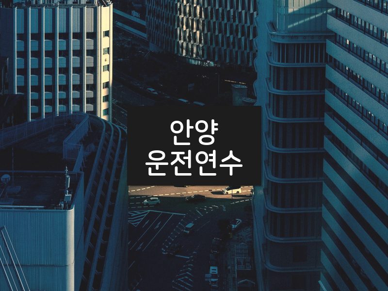 안양운전연수 후기