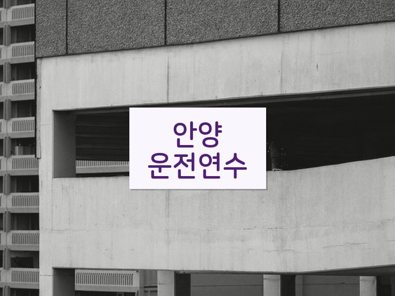 안양운전연수 후기