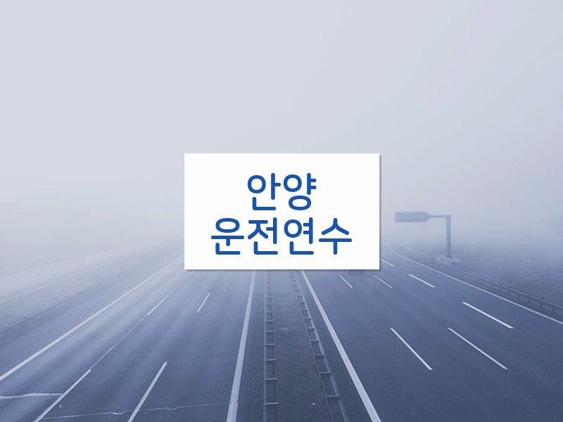 안양운전연수 후기