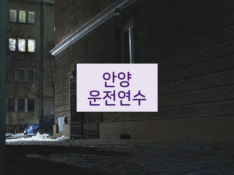 안양운전연수 후기