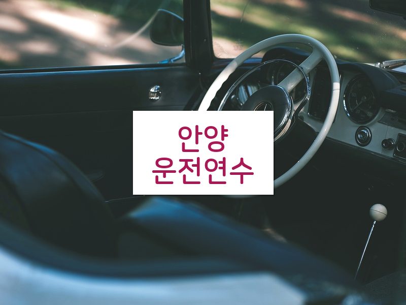 안양운전연수 후기