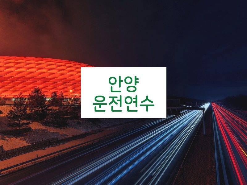 안양운전연수 후기