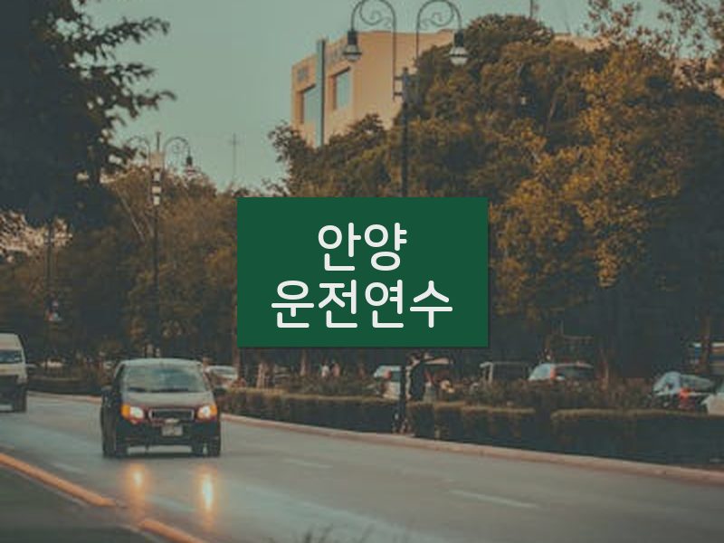 안양운전연수 후기