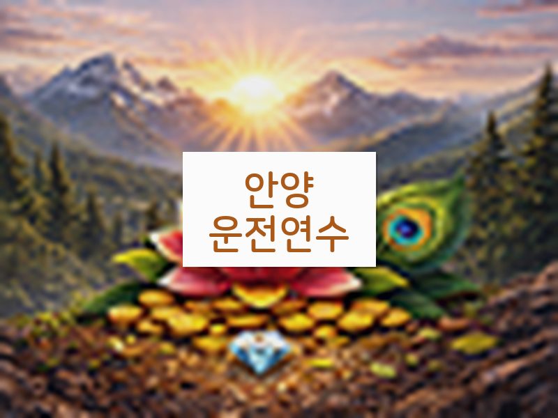 안양운전연수 후기