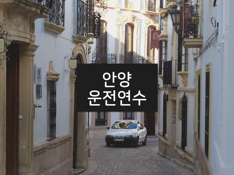 안양운전연수 후기