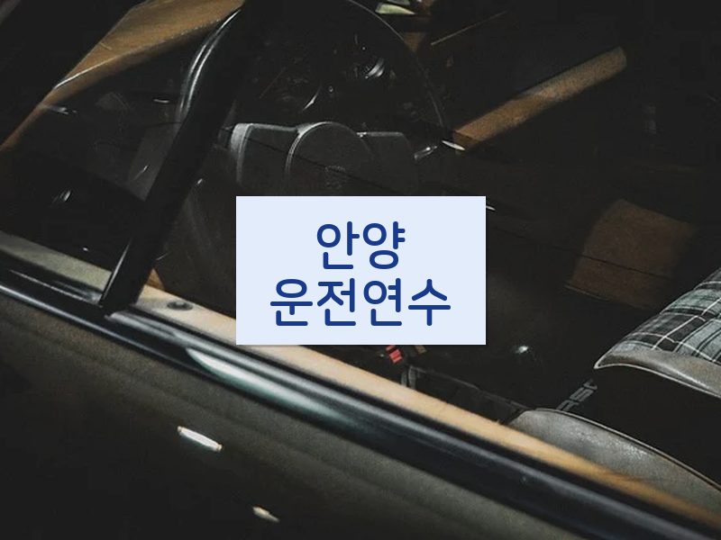 안양운전연수 후기