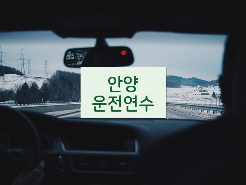 안양운전연수 후기