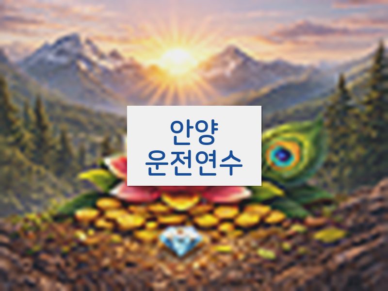 안양운전연수 후기