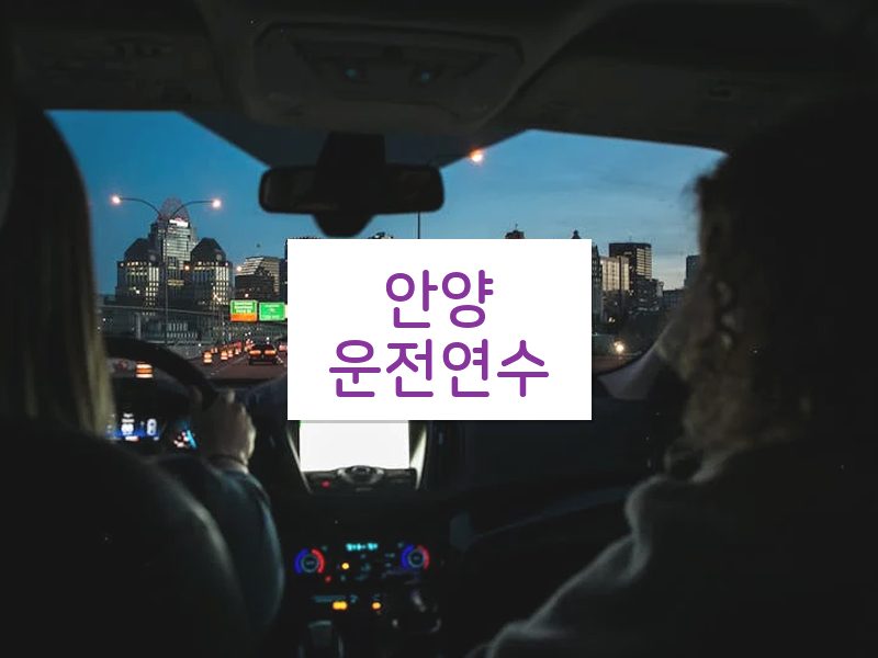 안양운전연수 후기