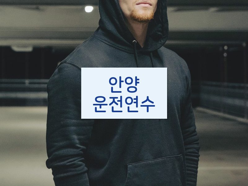안양운전연수 후기