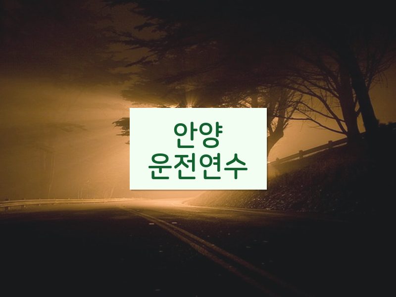 안양운전연수 후기