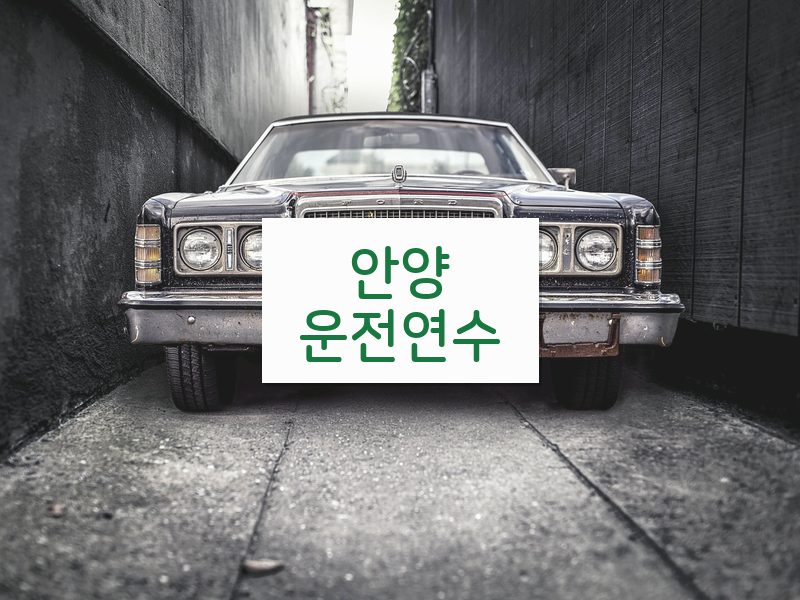 안양운전연수 후기