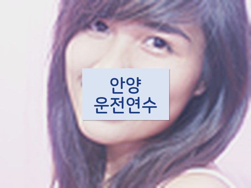 안양운전연수 후기