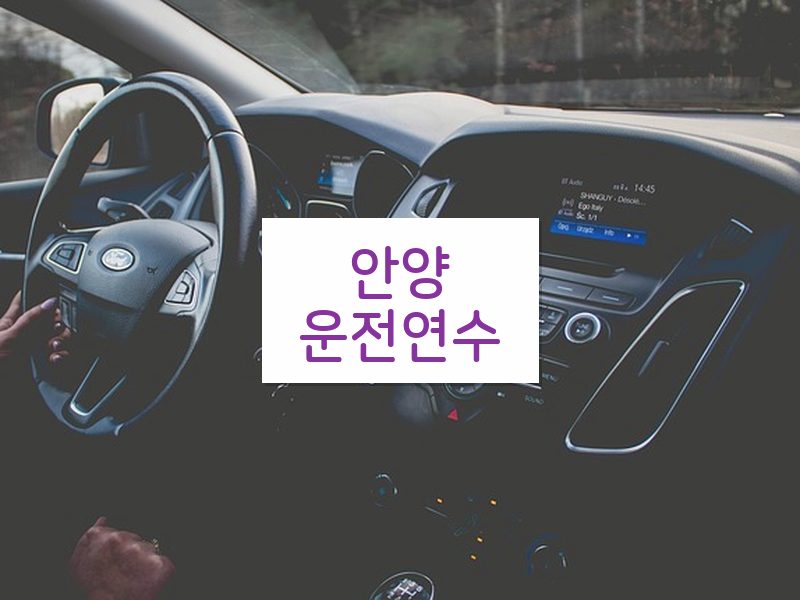 안양운전연수 후기
