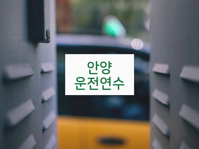 안양운전연수 후기