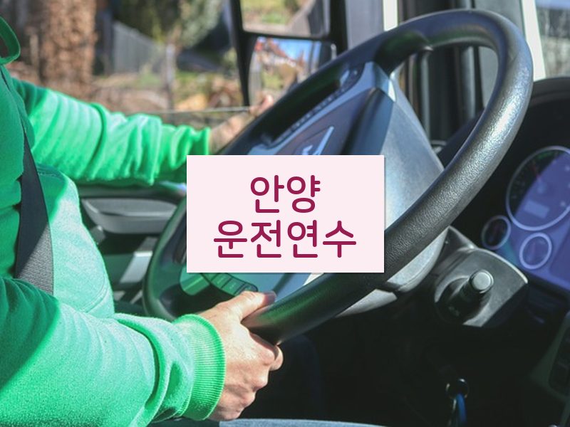 안양운전연수 후기
