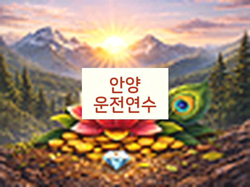 안양운전연수 후기