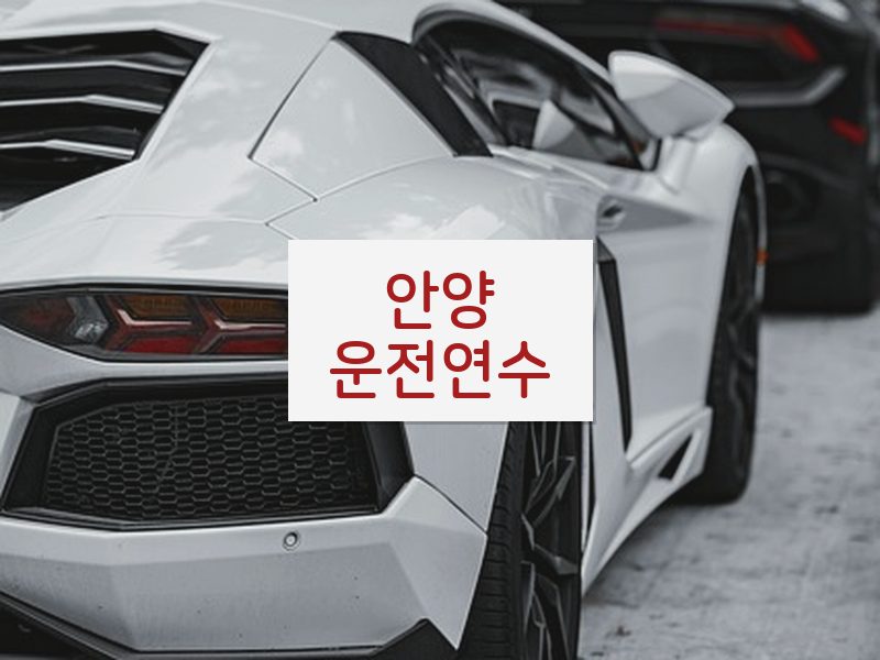 안양운전연수 후기
