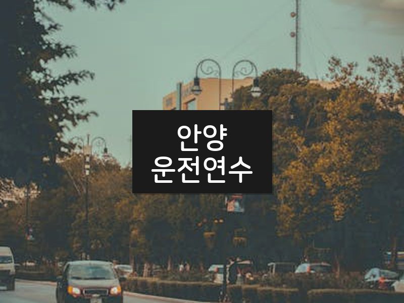 안양운전연수 후기
