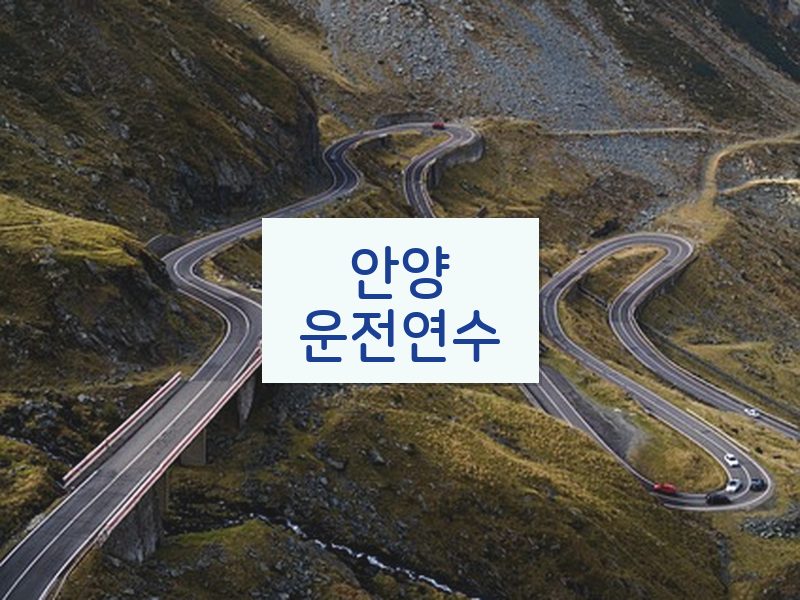 안양운전연수 후기