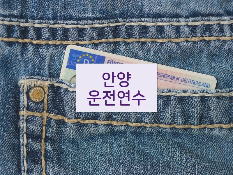 안양운전연수 후기