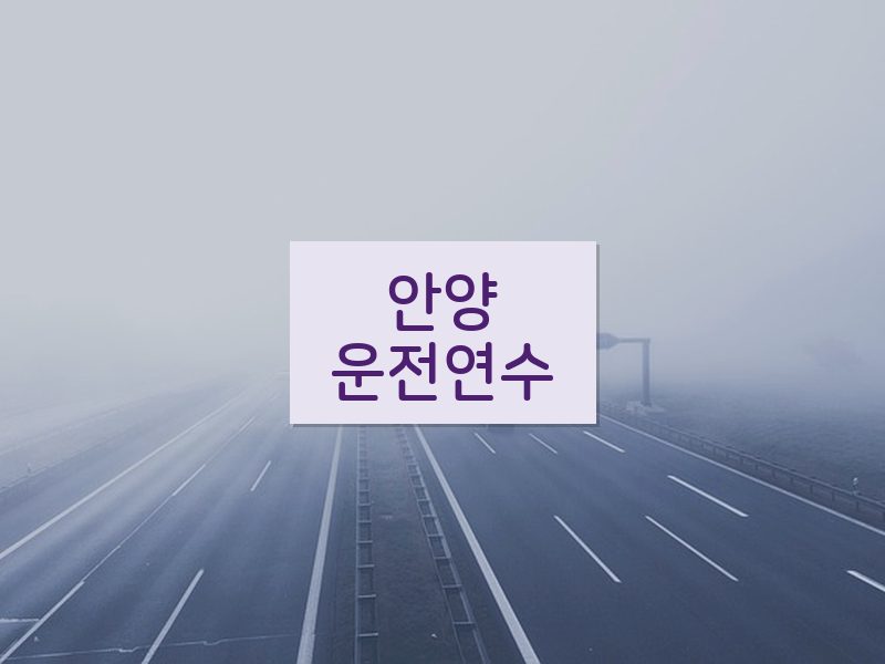 안양운전연수 후기