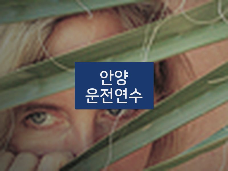 안양운전연수 후기
