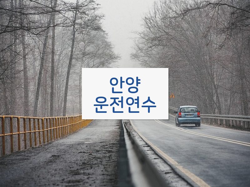 안양운전연수 후기
