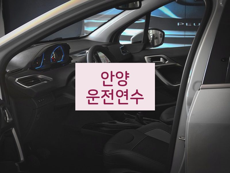 안양운전연수 후기