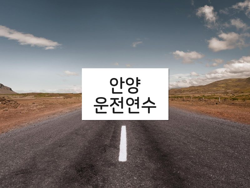 안양운전연수 후기