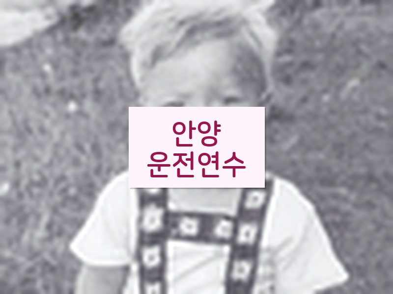 안양운전연수 후기