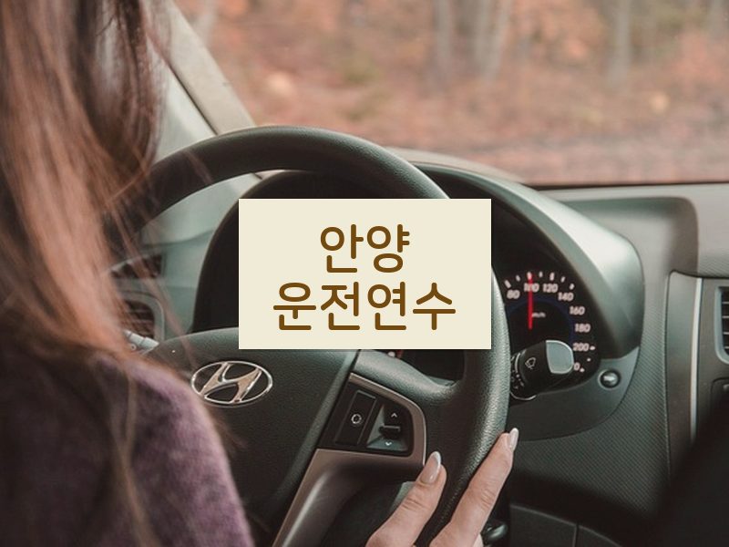안양운전연수 후기
