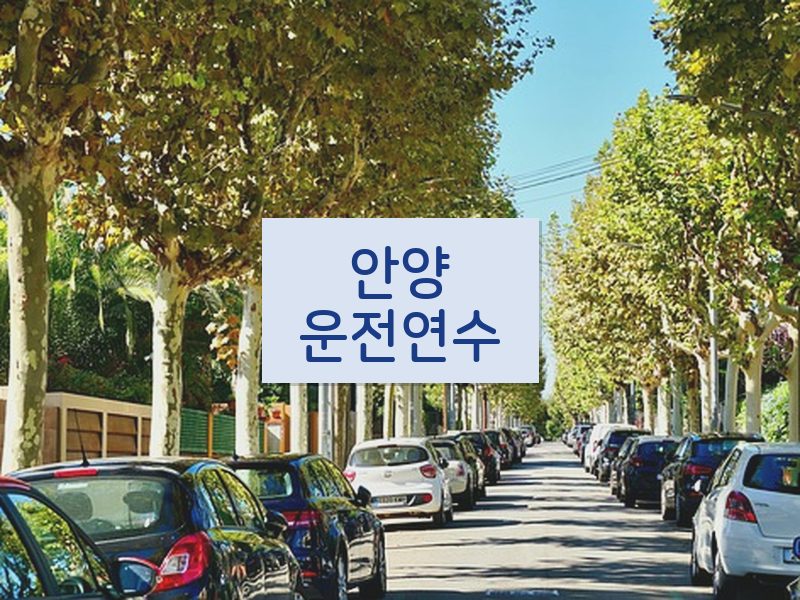 안양운전연수 후기