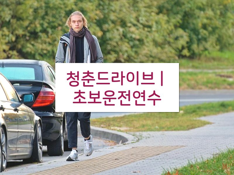청춘드라이브 | 초보운전연수 후기