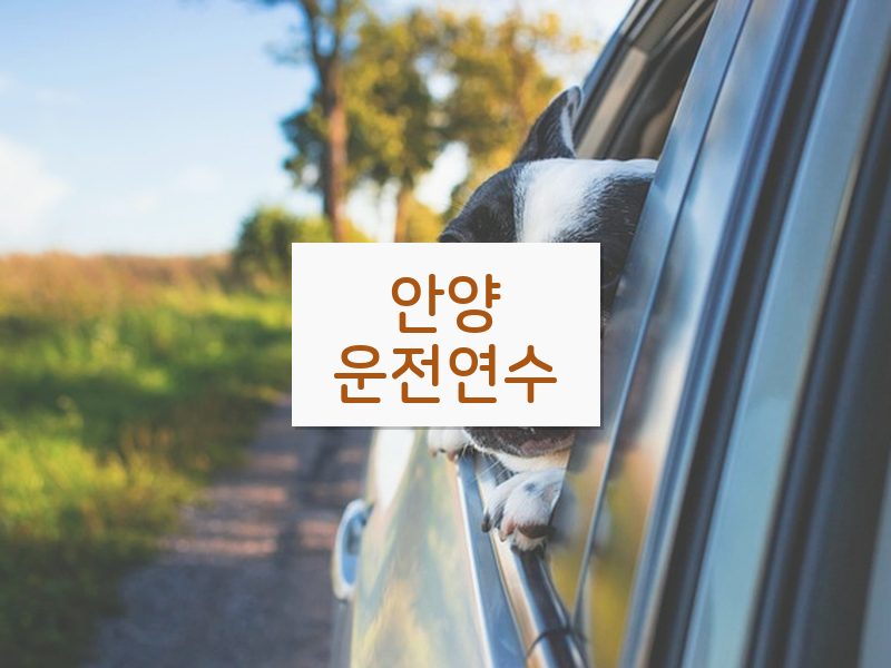 안양운전연수 후기