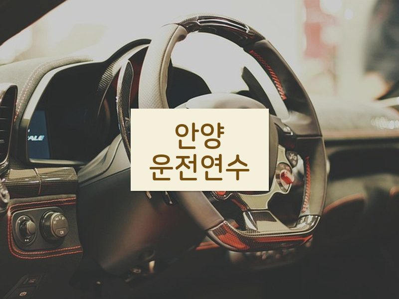안양운전연수 후기