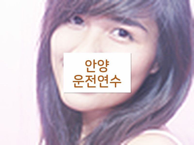 안양운전연수 후기