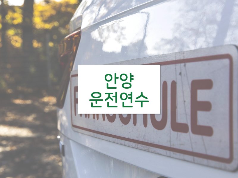 안양운전연수 후기