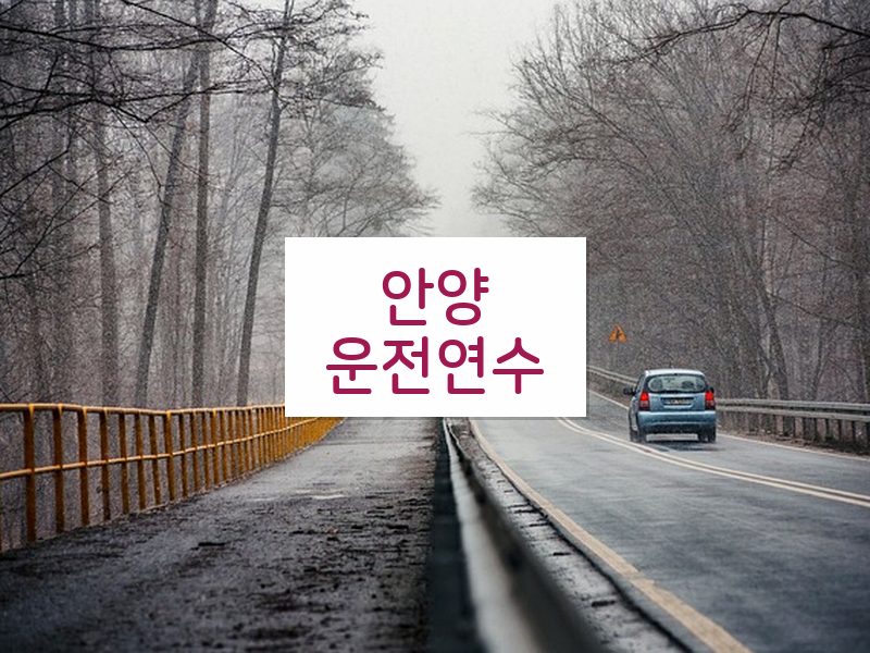 안양운전연수 후기