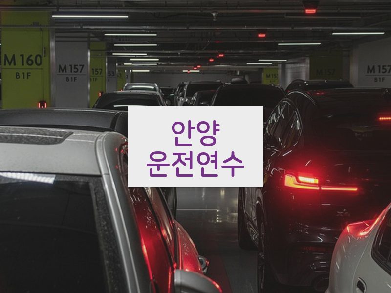 안양운전연수 후기