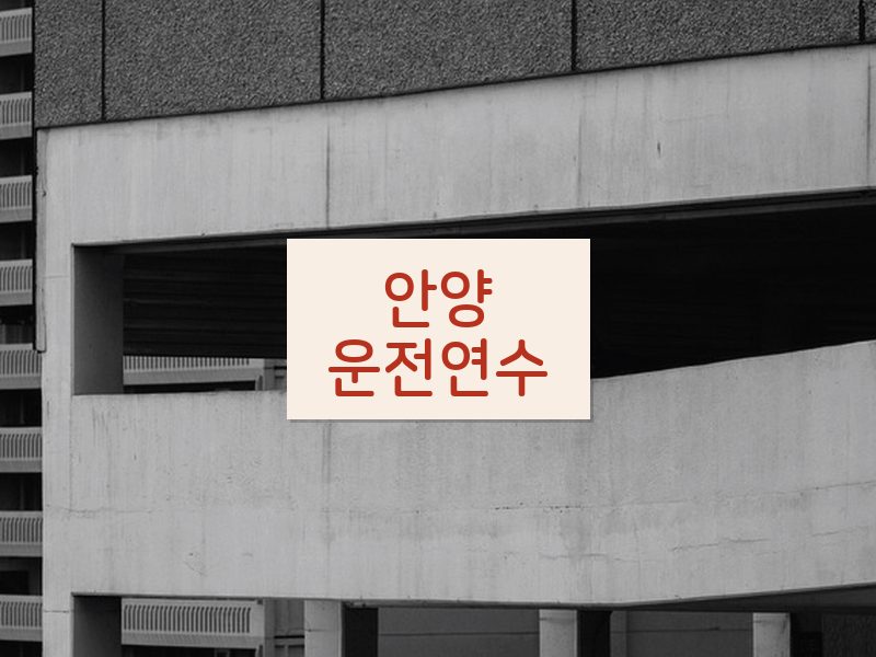 안양운전연수 후기