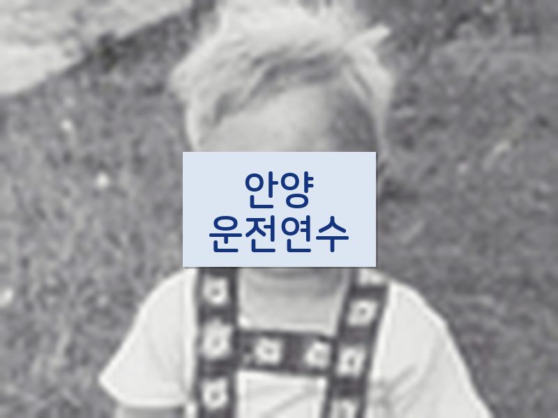안양운전연수 후기