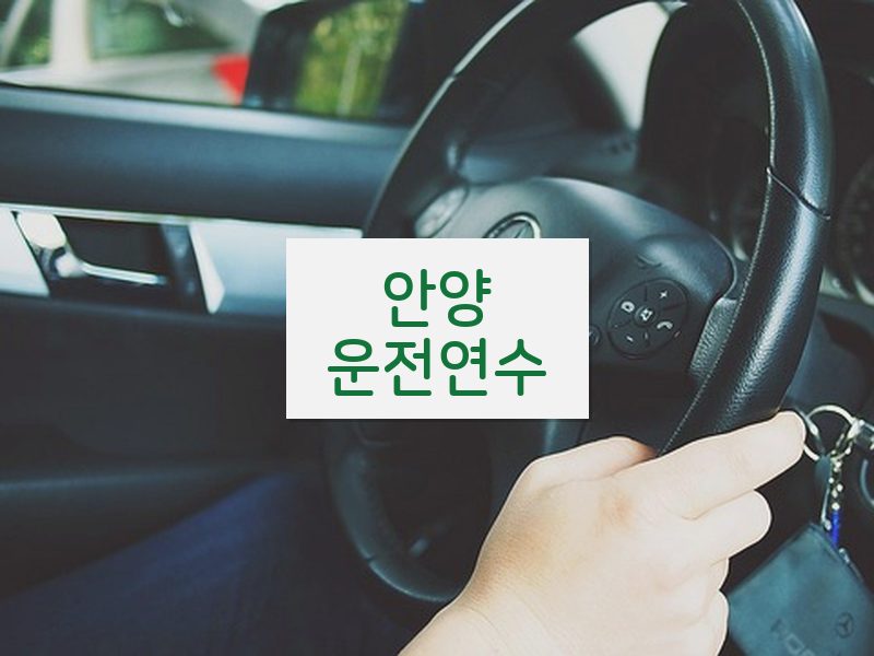 안양운전연수 후기