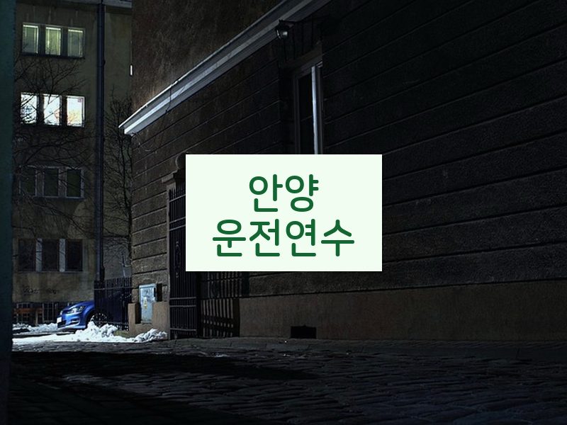 안양운전연수 후기