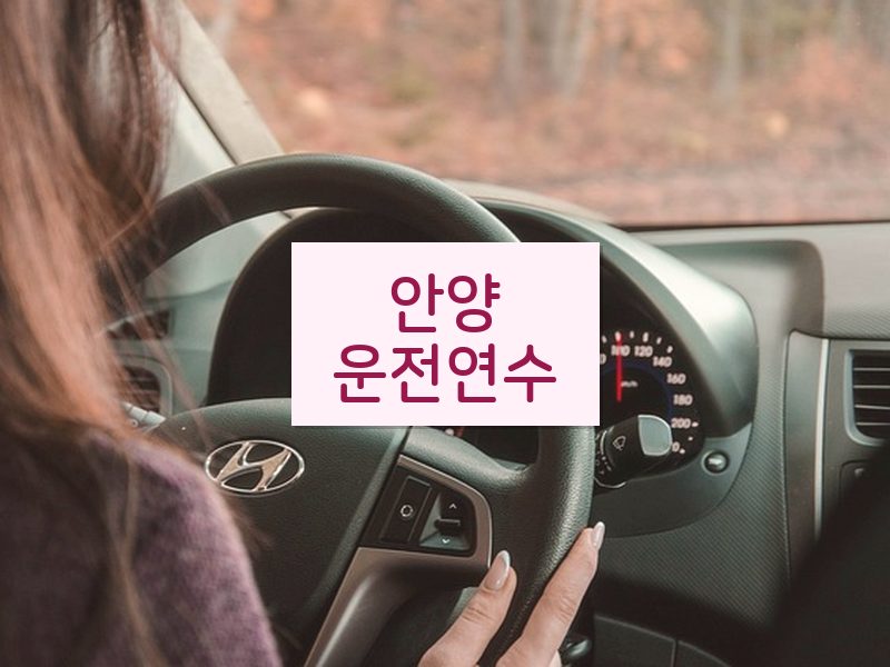 안양운전연수 후기