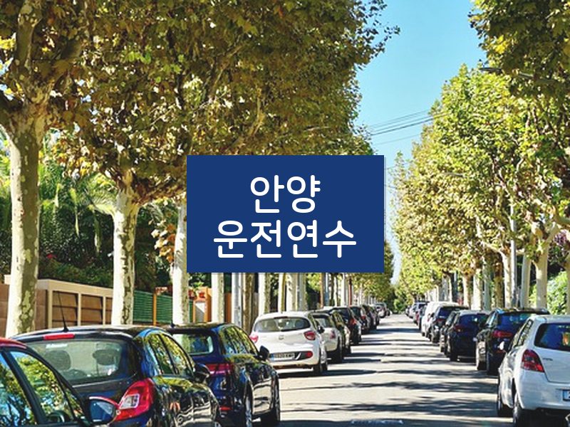 안양운전연수 후기