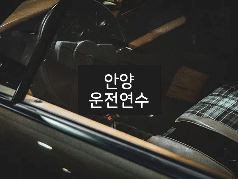 안양운전연수 후기